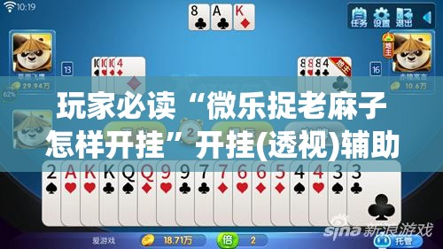 玩家必读“微乐捉老麻子怎样开挂”开挂(透视)辅助神器