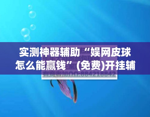 实测神器辅助“娱网皮球怎么能赢钱”(免费)开挂辅助教学(最新辅助开挂教程)