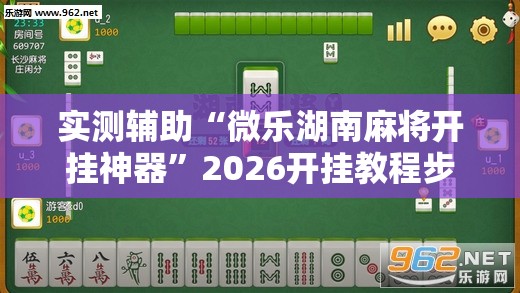 实测辅助“微乐湖南麻将开挂神器”2026开挂教程步骤
