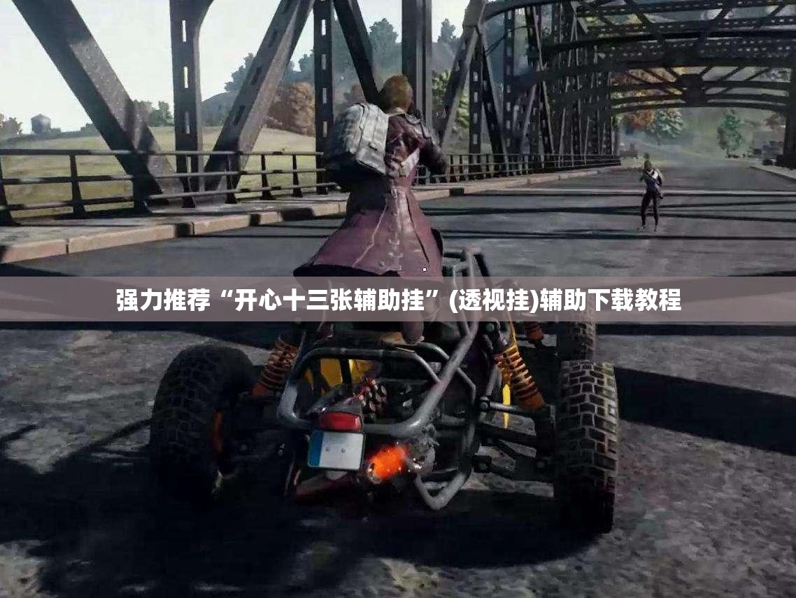 强力推荐“开心十三张辅助挂	”(透视挂)辅助下载教程