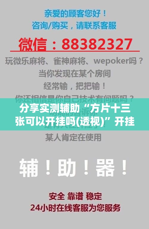 分享实测辅助“方片十三张可以开挂吗(透视)	”开挂辅助脚本+详细开挂安装教程