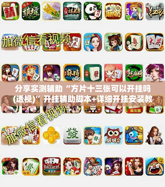 分享实测辅助“方片十三张可以开挂吗(透视)”开挂辅助脚本+详细开挂安装教程