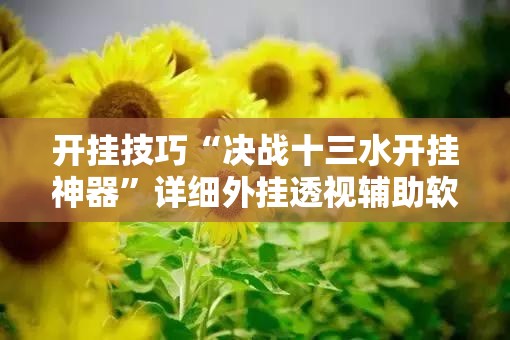 开挂技巧“决战十三水开挂神器”详细外挂透视辅助软件教程