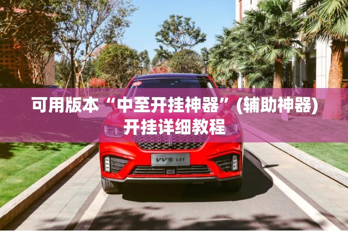 可用版本“中至开挂神器”(辅助神器)开挂详细教程