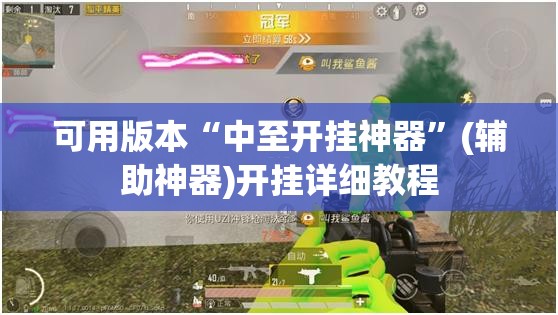 可用版本“中至开挂神器	”(辅助神器)开挂详细教程