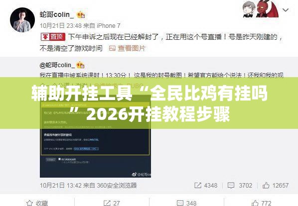 辅助开挂工具“全民比鸡有挂吗”2026开挂教程步骤