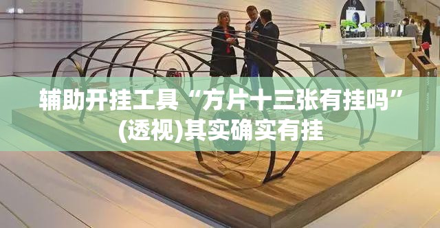 辅助开挂工具“方片十三张有挂吗”(透视)其实确实有挂