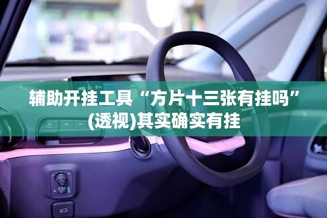 辅助开挂工具“方片十三张有挂吗	”(透视)其实确实有挂