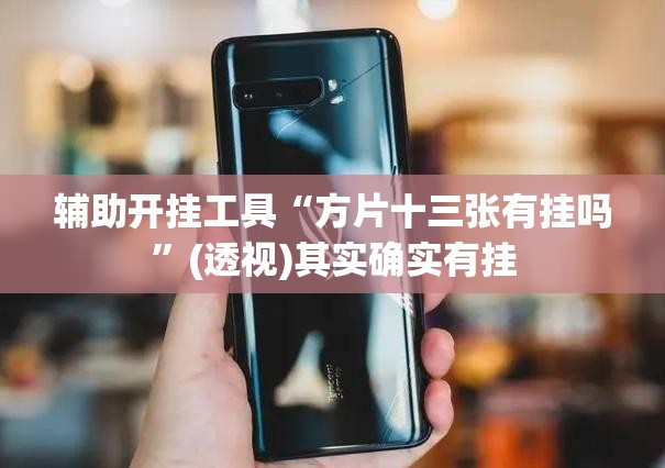 辅助开挂工具“方片十三张有挂吗”(透视)其实确实有挂