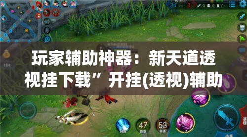 玩家辅助神器：新天道透视挂下载	”开挂(透视)辅助教程