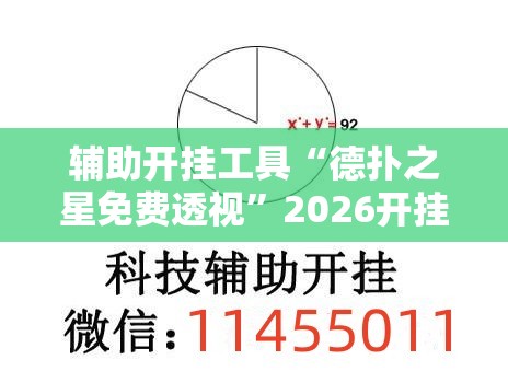 辅助开挂工具“德扑之星免费透视”2026开挂教程步骤