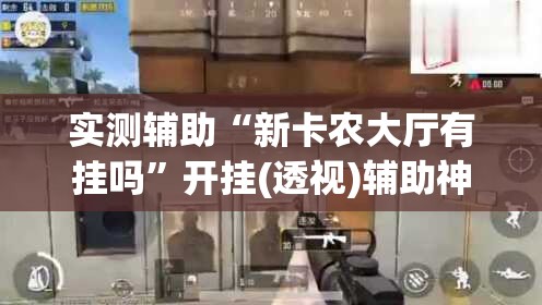 实测辅助“新卡农大厅有挂吗”开挂(透视)辅助神器