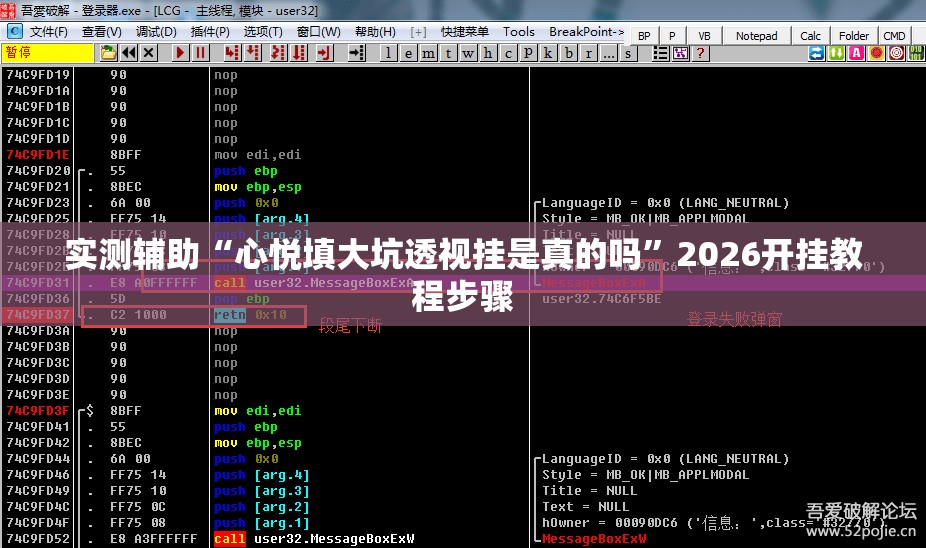 实测辅助“心悦填大坑透视挂是真的吗”2026开挂教程步骤