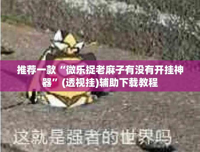 推荐一款“微乐捉老麻子有没有开挂神器	”(透视挂)辅助下载教程