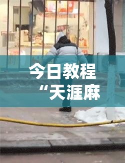 今日教程“天涯麻将怎么开挂	”开挂辅助脚本+详细开挂安装教程