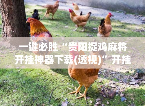 一键必胜“贵阳捉鸡麻将开挂神器下载(透视)	”开挂辅助脚本+详细开挂安装教程