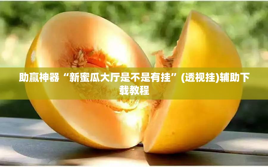 助赢神器“新蜜瓜大厅是不是有挂”(透视挂)辅助下载教程