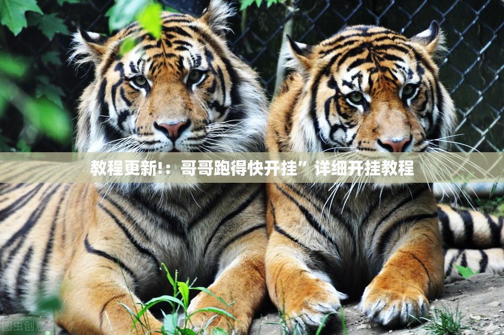 教程更新!：哥哥跑得快开挂”详细开挂教程