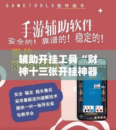 辅助开挂工具“财神十三张开挂神器下载”开挂辅助脚本+详细开挂安装教程