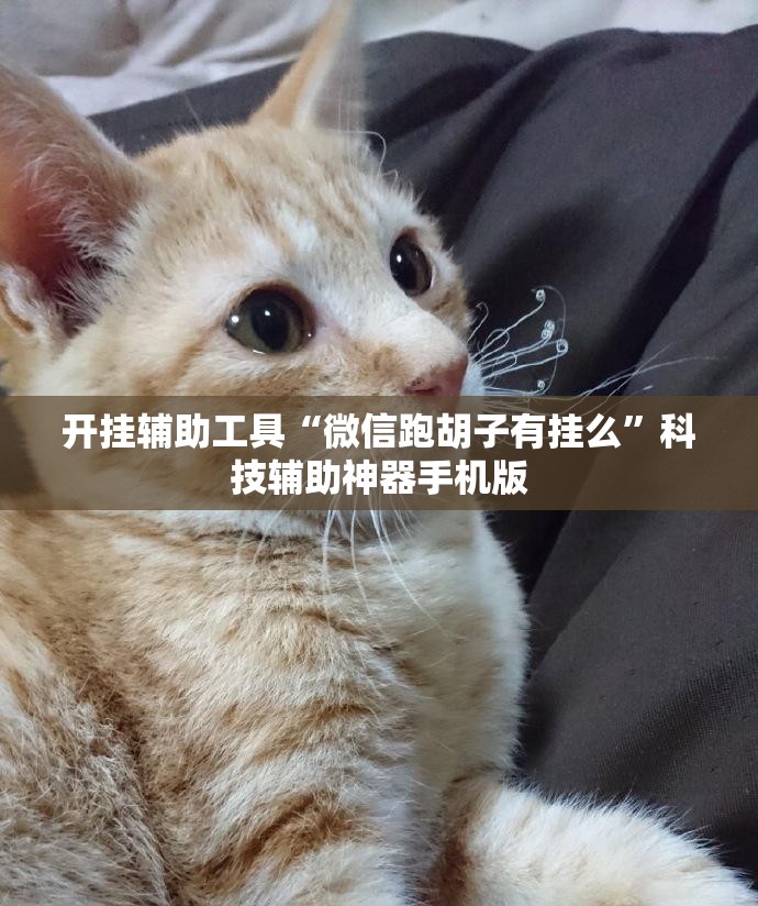 开挂辅助工具“微信跑胡子有挂么”科技辅助神器手机版