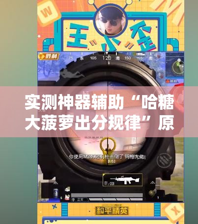 实测神器辅助“哈糖大菠萝出分规律”原来可以开挂