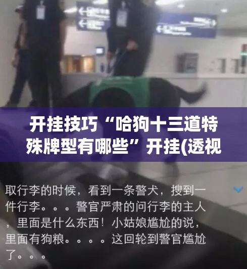 开挂技巧“哈狗十三道特殊牌型有哪些	”开挂(透视)最新辅助详细