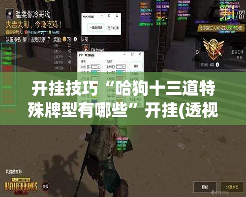 开挂技巧“哈狗十三道特殊牌型有哪些”开挂(透视)最新辅助详细