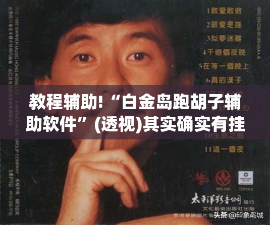 教程辅助!“白金岛跑胡子辅助软件”(透视)其实确实有挂