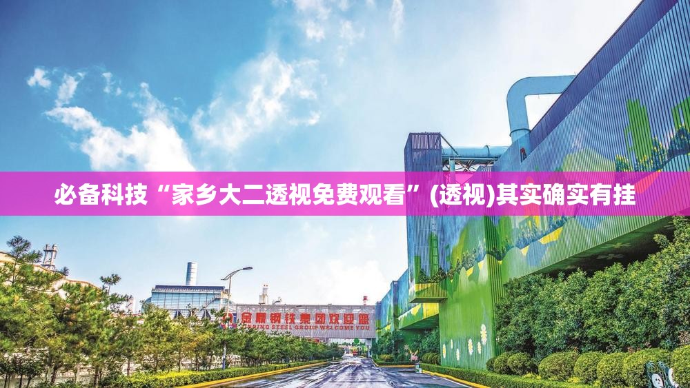 必备科技“家乡大二透视免费观看”(透视)其实确实有挂