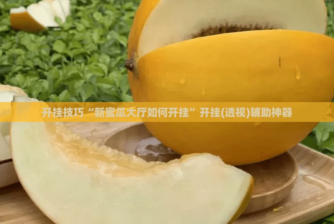 开挂技巧“新蜜瓜大厅如何开挂”开挂(透视)辅助神器