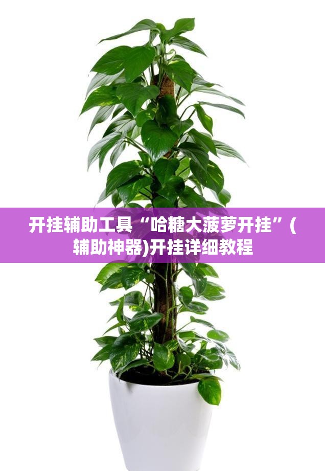开挂辅助工具“哈糖大菠萝开挂”(辅助神器)开挂详细教程