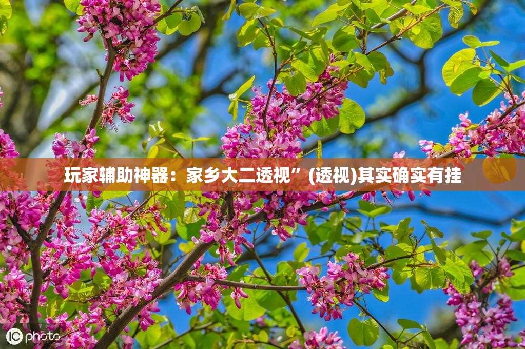 玩家辅助神器：家乡大二透视	”(透视)其实确实有挂
