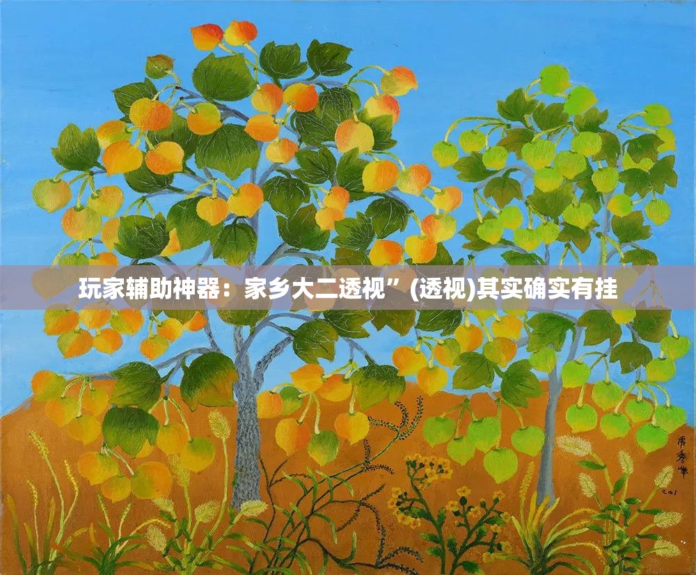 玩家辅助神器：家乡大二透视”(透视)其实确实有挂