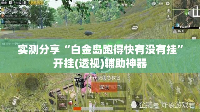 实测分享“白金岛跑得快有没有挂”开挂(透视)辅助神器