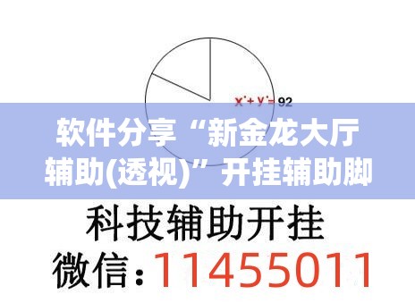 软件分享“新金龙大厅辅助(透视)	”开挂辅助脚本+详细开挂安装教程