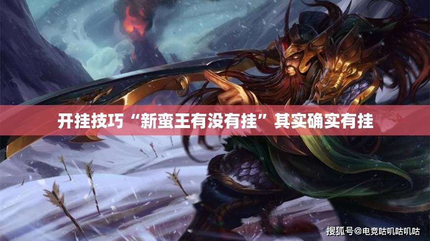 开挂技巧“新蛮王有没有挂	”其实确实有挂