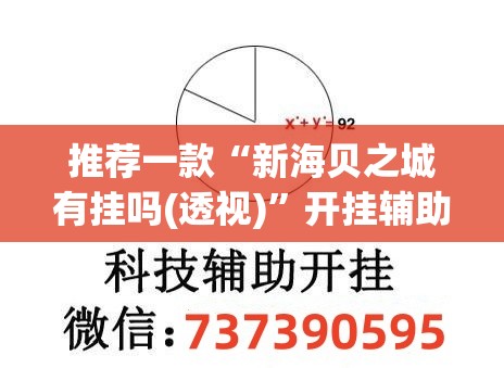 推荐一款“新海贝之城有挂吗(透视)”开挂辅助脚本+详细开挂安装教程
