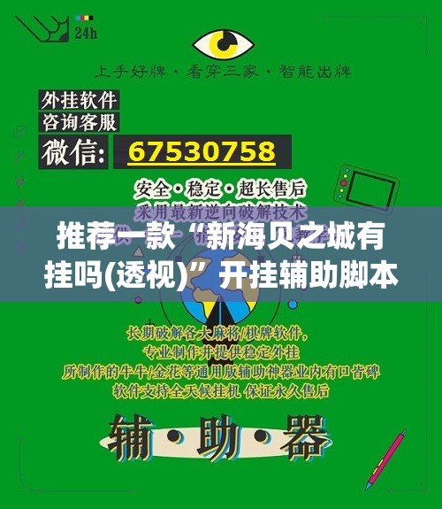 推荐一款“新海贝之城有挂吗(透视)”开挂辅助脚本+详细开挂安装教程