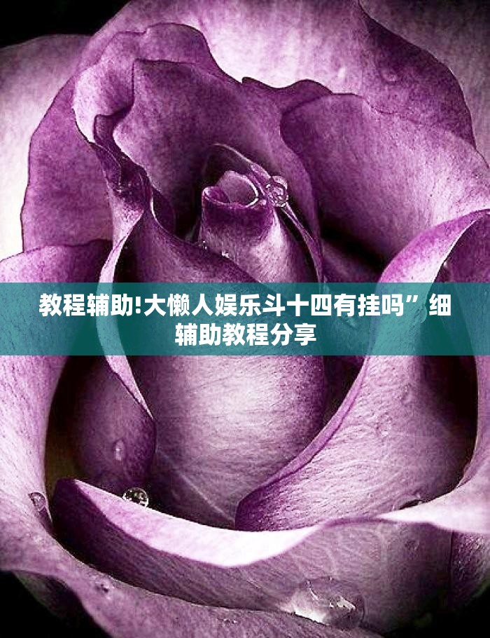 教程辅助!大懒人娱乐斗十四有挂吗”细辅助教程分享