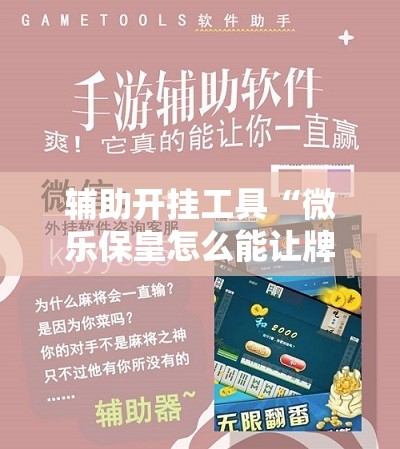 辅助开挂工具“微乐保皇怎么能让牌好一点	”开挂详细教程