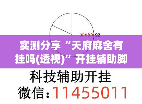 实测分享“天府麻舍有挂吗(透视)”开挂辅助脚本+详细开挂安装教程