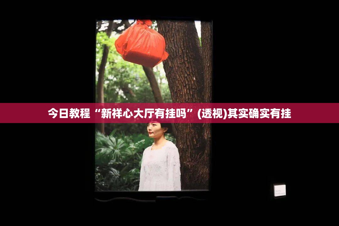 今日教程“新祥心大厅有挂吗	”(透视)其实确实有挂