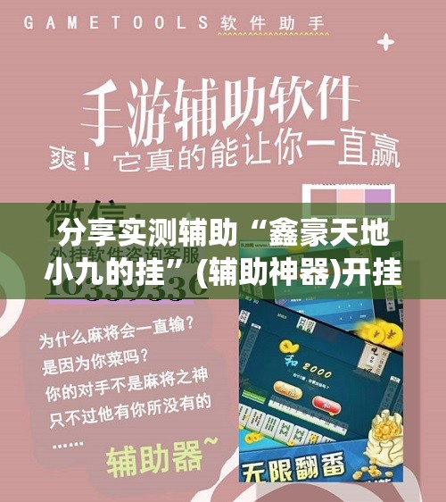 分享实测辅助“鑫豪天地小九的挂	”(辅助神器)开挂详细教程
