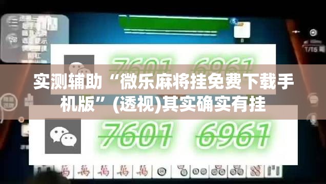 实测辅助“微乐麻将挂免费下载手机版”(透视)其实确实有挂