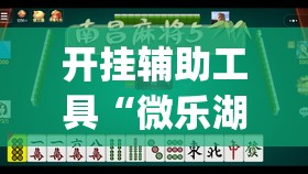 开挂辅助工具“微乐湖北麻将小程序怎么开挂”开挂(透视)最新辅助详细