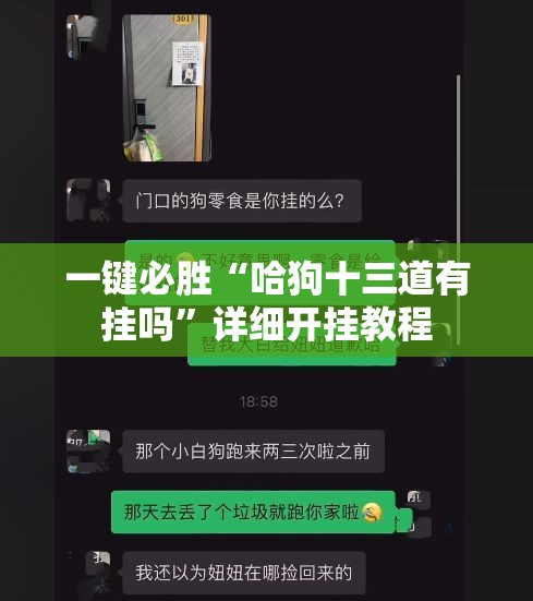 一键必胜“哈狗十三道有挂吗”详细开挂教程