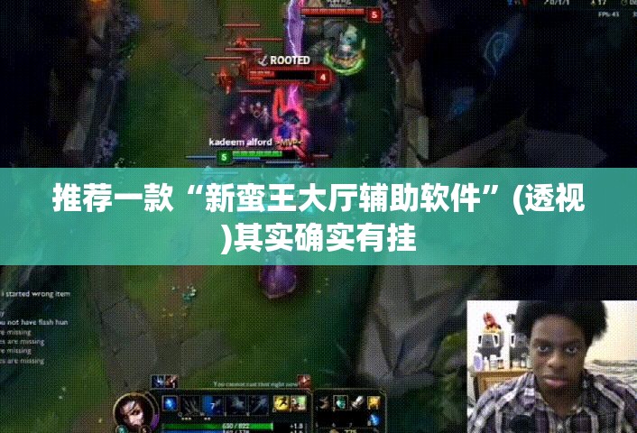 推荐一款“新蛮王大厅辅助软件”(透视)其实确实有挂