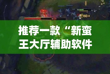 推荐一款“新蛮王大厅辅助软件”(透视)其实确实有挂