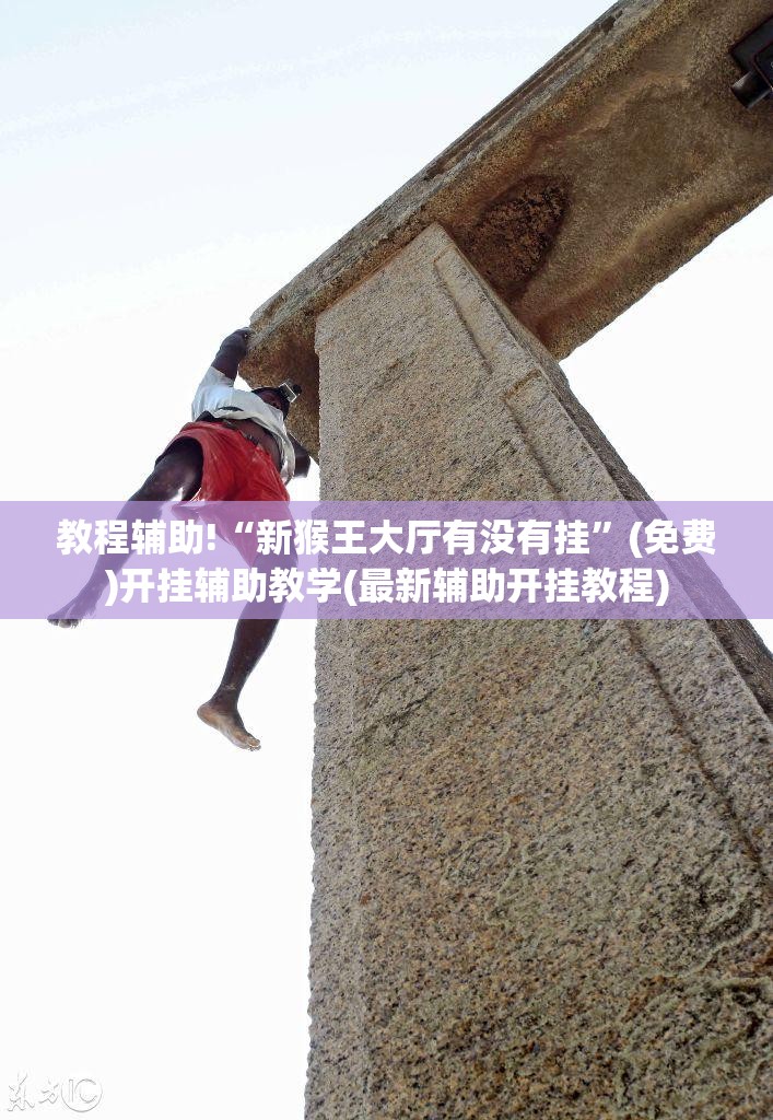 教程辅助!“新猴王大厅有没有挂”(免费)开挂辅助教学(最新辅助开挂教程)