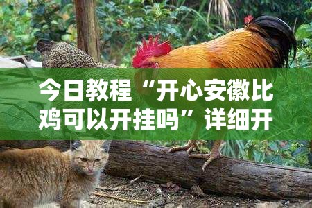 今日教程“开心安徽比鸡可以开挂吗”详细开挂教程